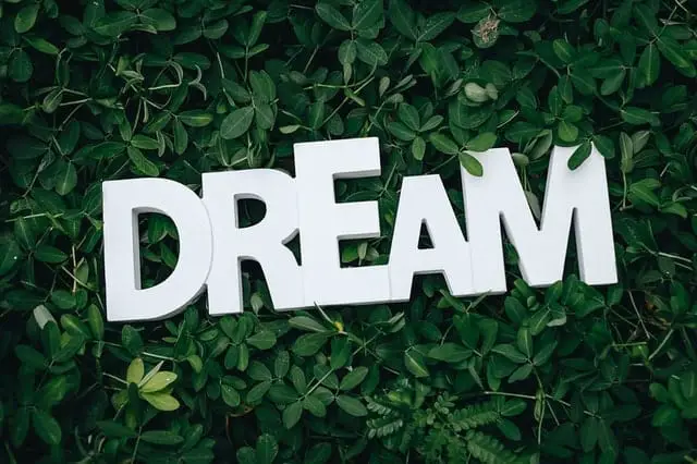 Are goals the same as dreams?